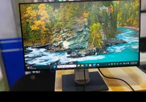 Photo - Ddell Monitor