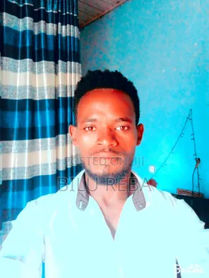 Seba Boru Revenue Office