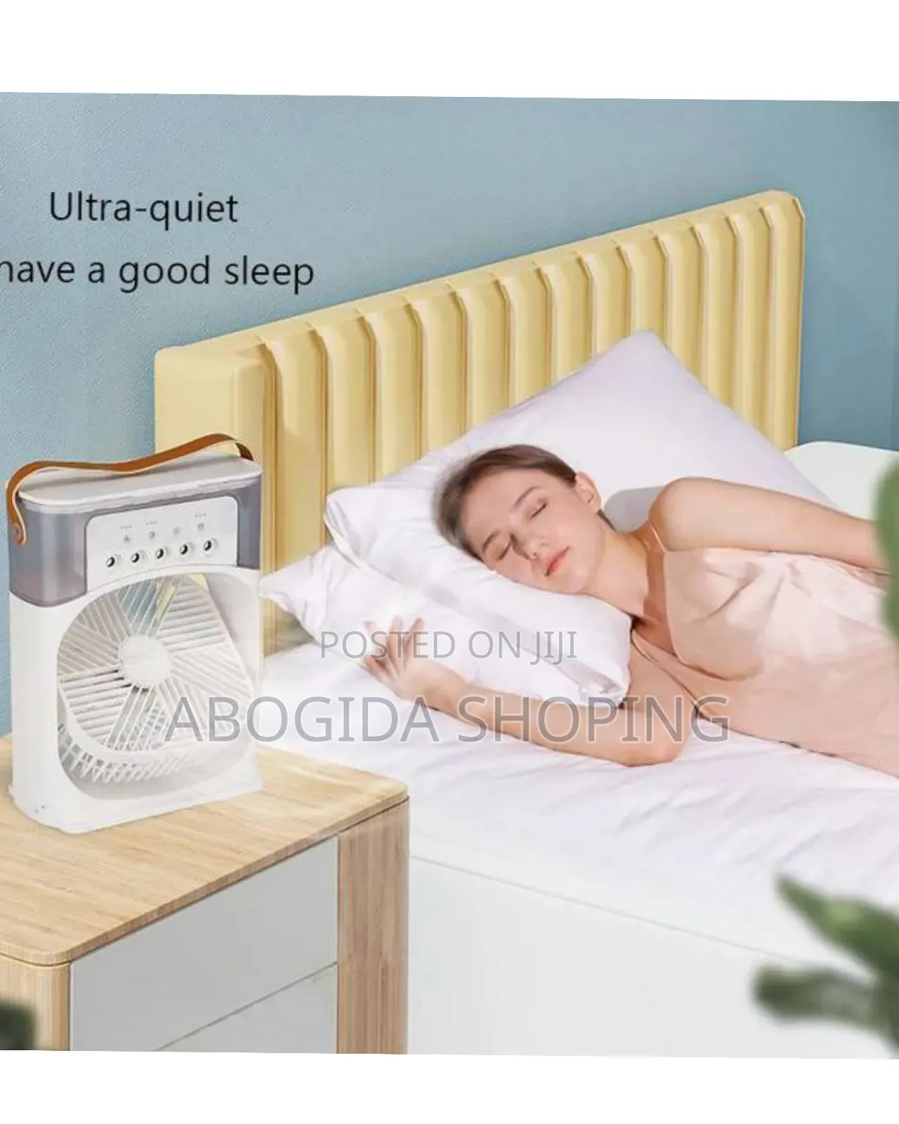 Duel Use Air Cooler Fan and Humidifier