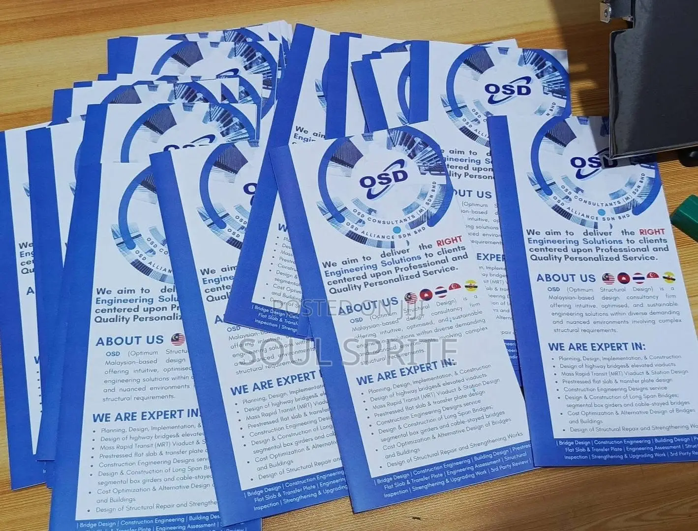 Flyer and Brochure Printing