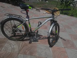 Photo - New Egl 2025 Gray