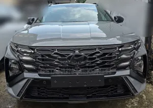 Photo - New Hyundai Tucson 2023 Gray