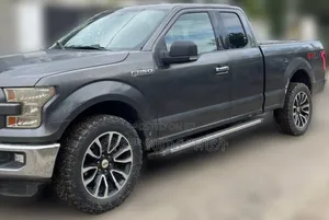 Ford F-150 XLT 4dr SuperCab 4WD 8 ft. LB (5.0L 8cyl 6A) 2015 Gray
