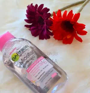 Garnier Micellar Cleansing Water Make Up Remover