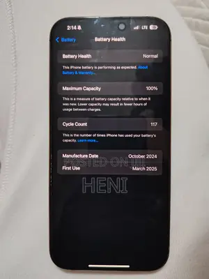 Apple iPhone 16 Pro Max 256 GB Gold