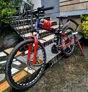 Orgional Foldable Bike for Sale