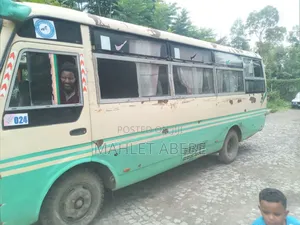 Higer KLQ6728GE4 2007 Green