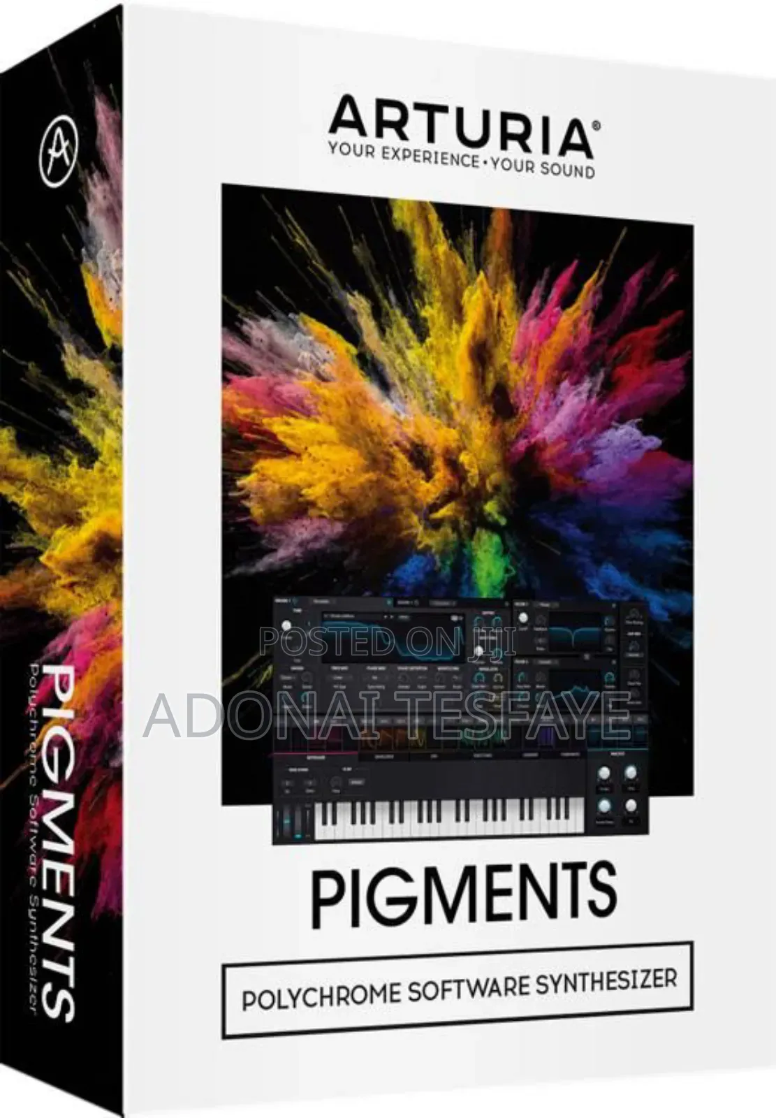 Pigment (Full Life Time Licence) Mac Win