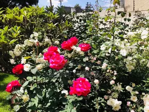 Furnished 4bdrm House in Ayat Real Estate, Yeka for rent