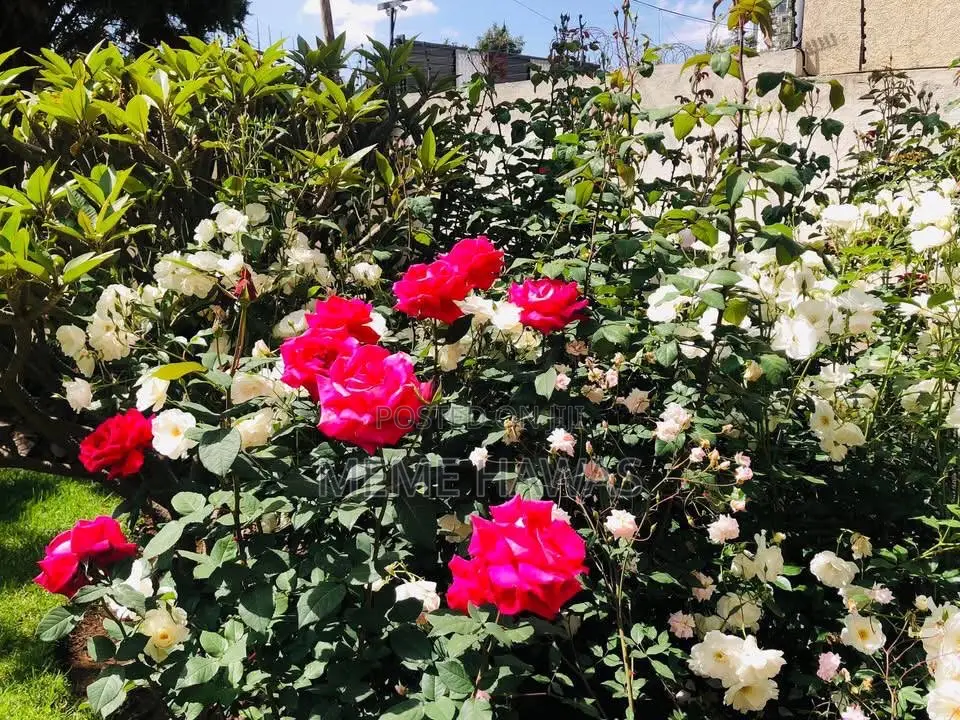 Furnished 4bdrm House in Ayat Real Estate, Yeka for rent