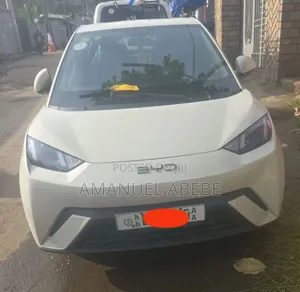 BYD Seagull 2025 White