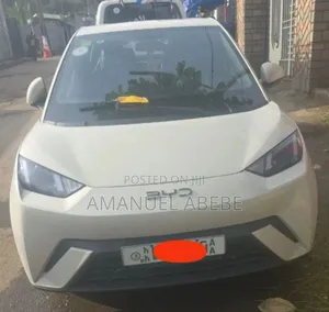 Photo - BYD Seagull 2025 White