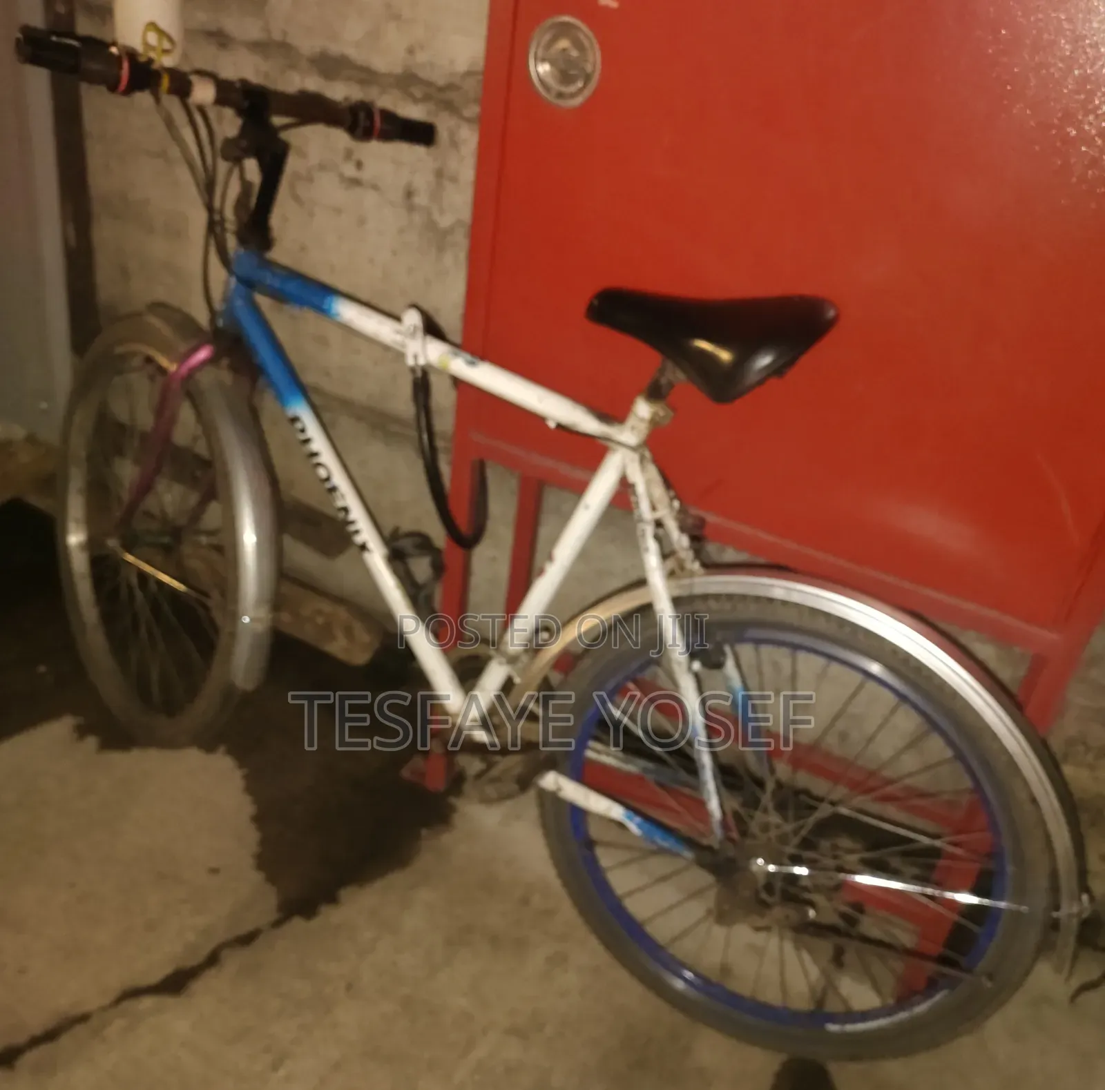 Super Gallant 2021 White