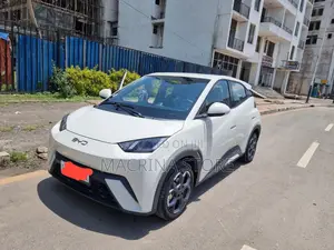 New BYD E1 2024 White