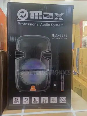 Max Professional Audio System