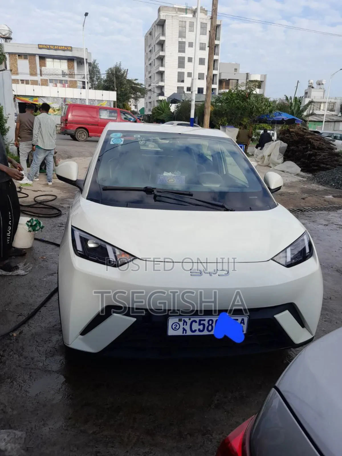 New BYD Seagull 2024 White