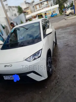 New BYD Seagull 2024 White