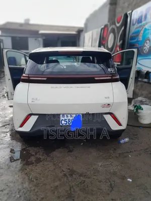 New BYD Seagull 2024 White