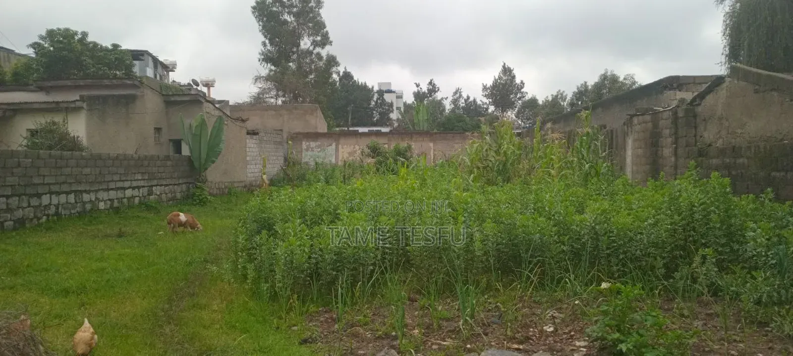 1bdrm House in Cmc Mikael, Bole for sale