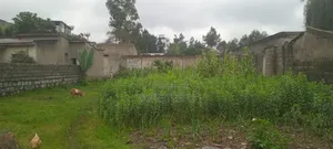 1bdrm House in Cmc Mikael, Bole for sale