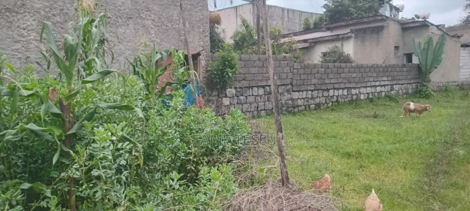 1bdrm House in Cmc Mikael, Bole for sale