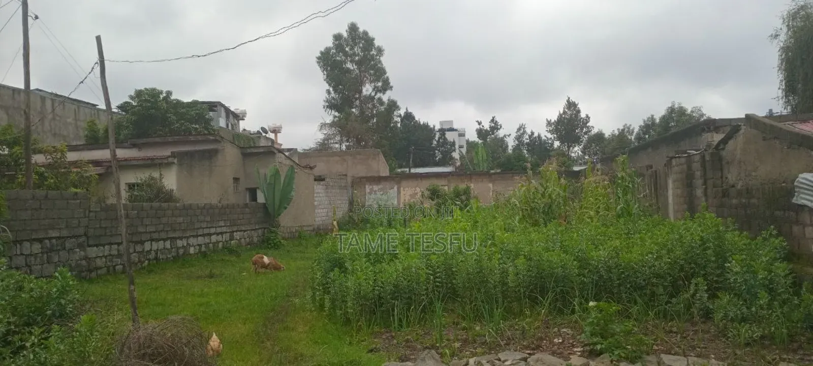 1bdrm House in Cmc Mikael, Bole for sale