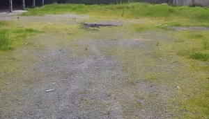 Photo - Land for Sale