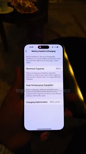 Apple iPhone 15 Pro Max 1 TB Black