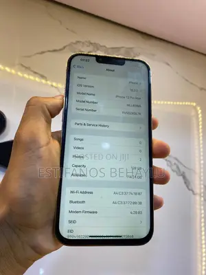 Apple iPhone 13 Pro Max 256 GB White