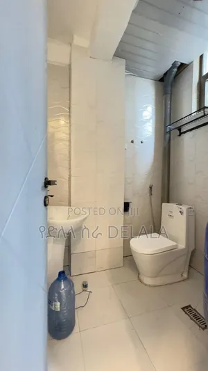 Furnished 2bdrm Condo in በሻሌ, Bole for sale