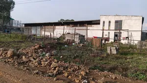 Cash Only Warehouse Sale at Sheger City