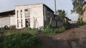 Cash Only Warehouse Sale at Sheger City