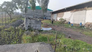 Cash Only Warehouse Sale at Sheger City