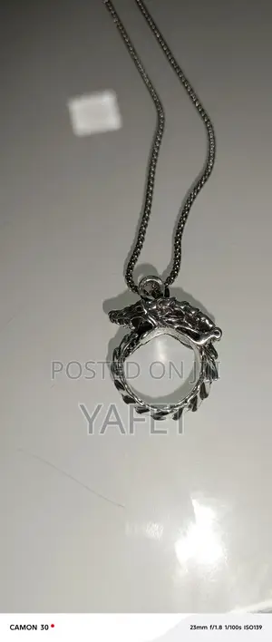 Photo - Silver Necleces and Ring