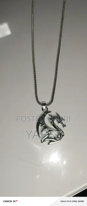 Silver Necleces and Ring