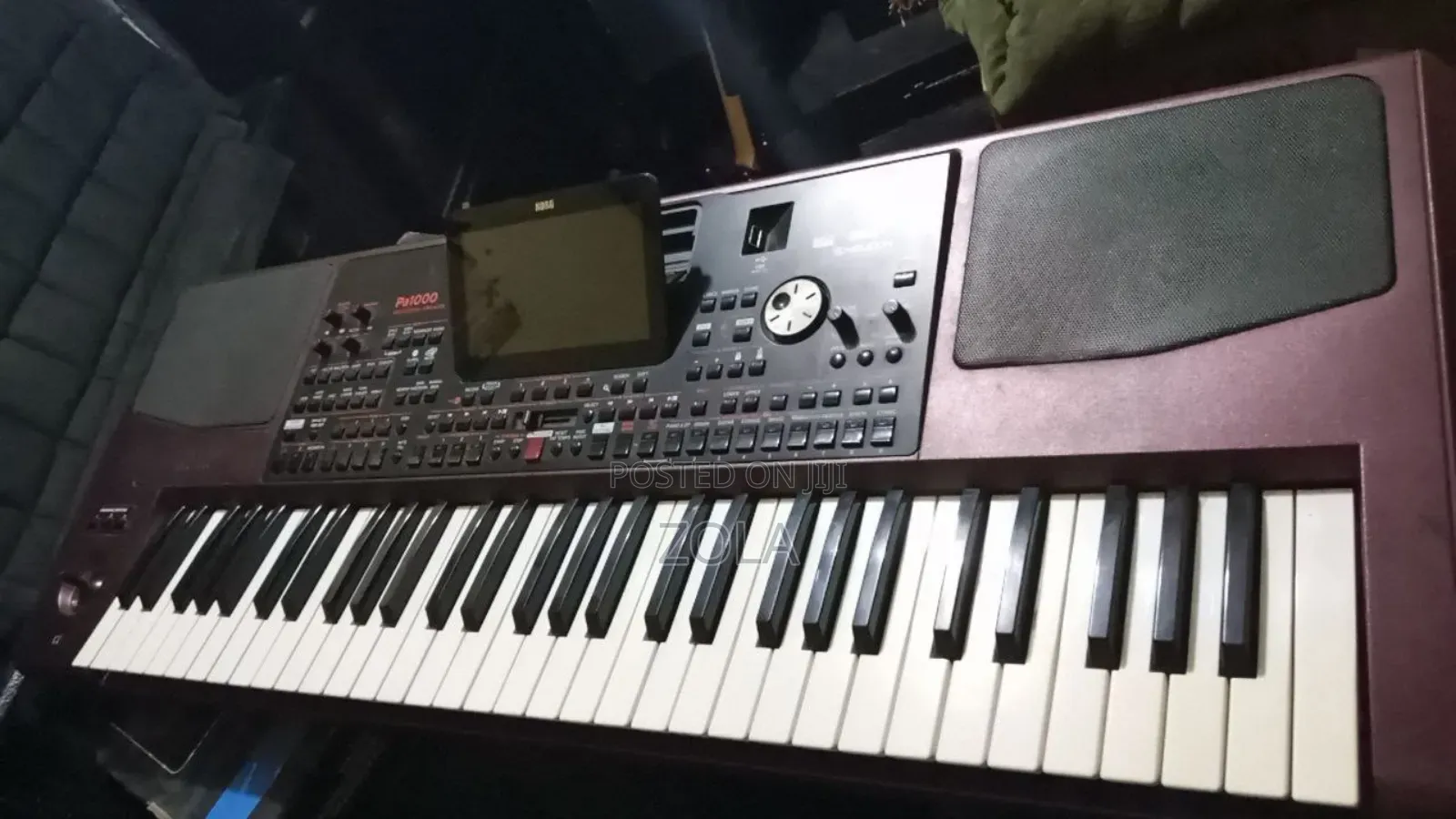 Korg Pa1000 Professional