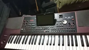 Korg Pa1000 Professional
