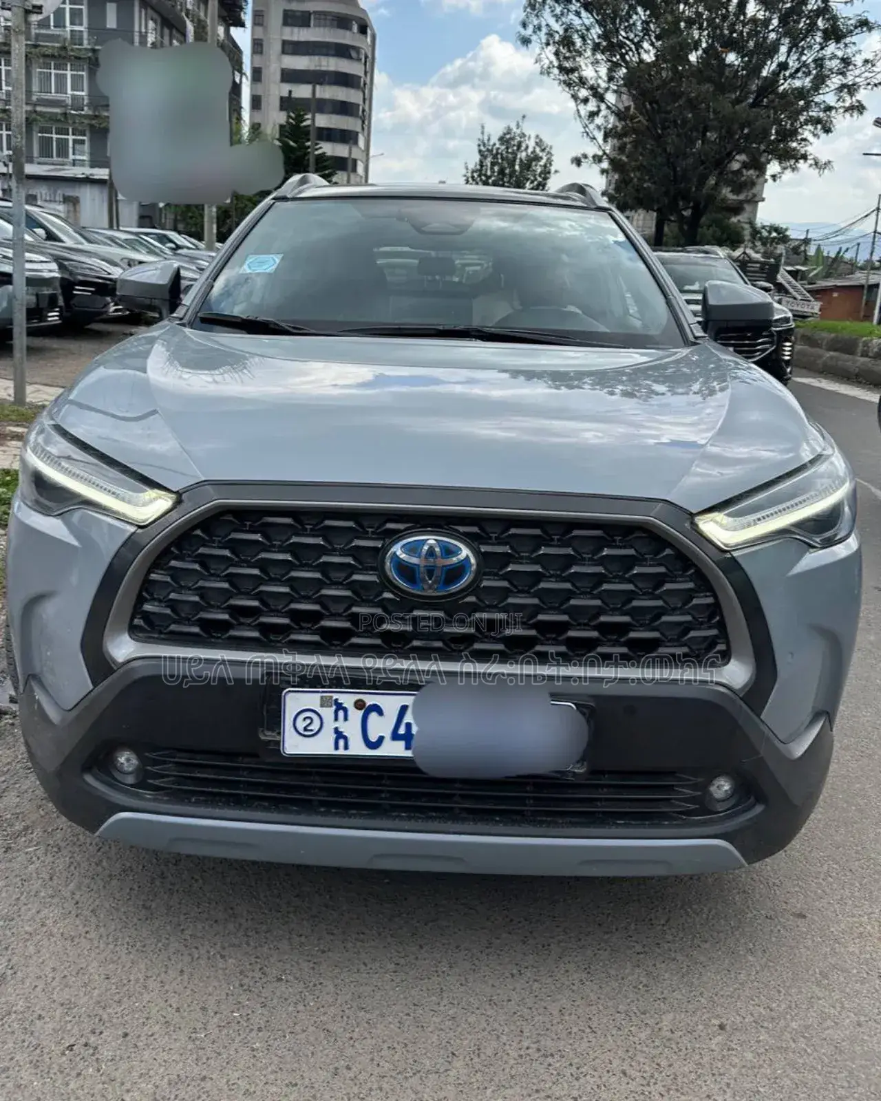 Toyota Corolla Cross Hybrid 2024 Green