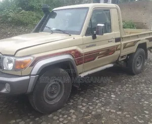 Toyota Land Cruiser 2019 Gold