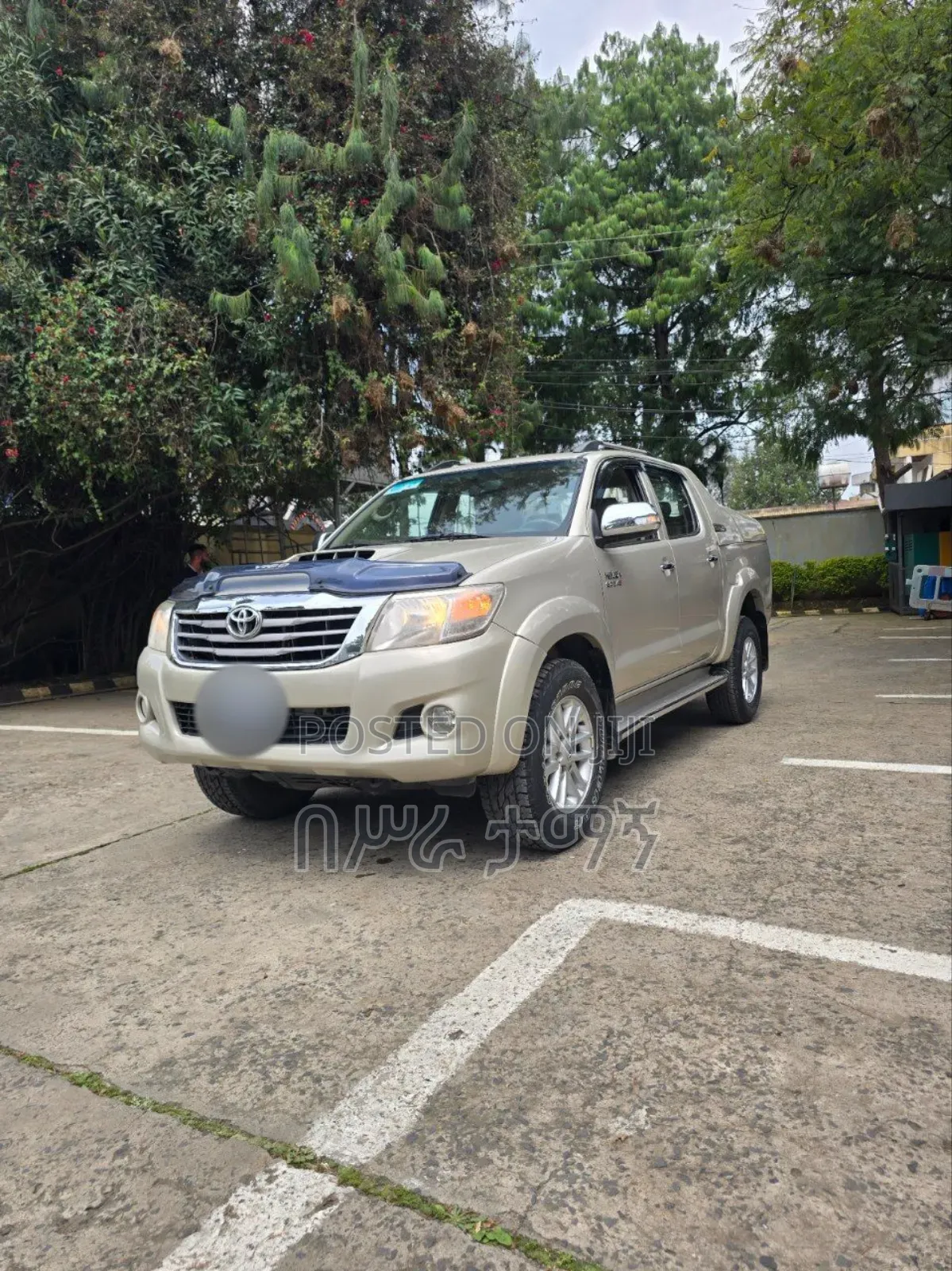 Toyota Hilux 3.0 D-4D 4x4 2014 Gold