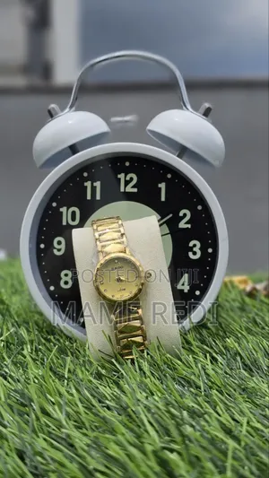 Photo - Rado Girls Watch Affordable Luxury at Your Fingertips! 3 Point