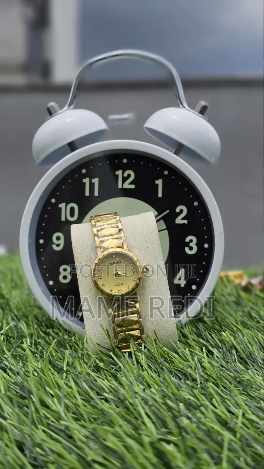 Rado Girls Watch Affordable Luxury at Your Fingertips! 3 Point