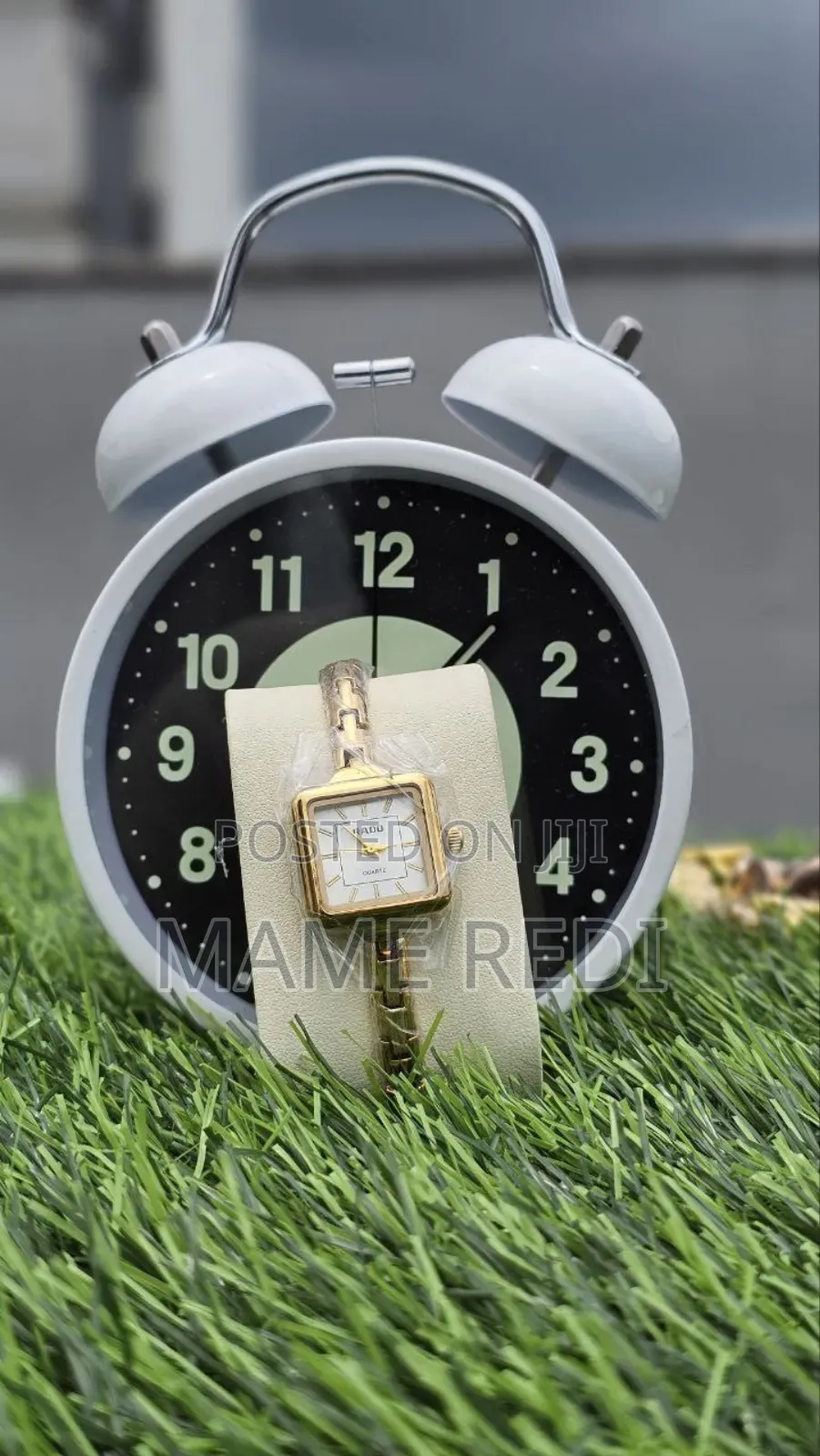 Rado Girls Watch Affordable Luxury at Your Fingertips! 3 Point