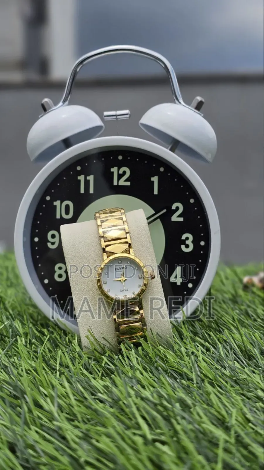 Rado Girls Watch Affordable Luxury at Your Fingertips! 3 Point