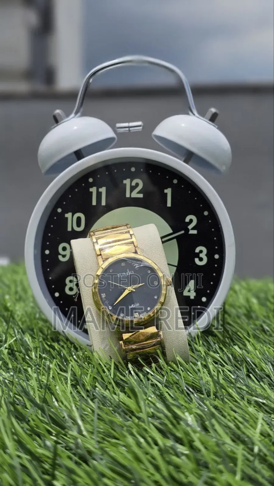 Rado Girls Watch Affordable Luxury at Your Fingertips! 3 Point