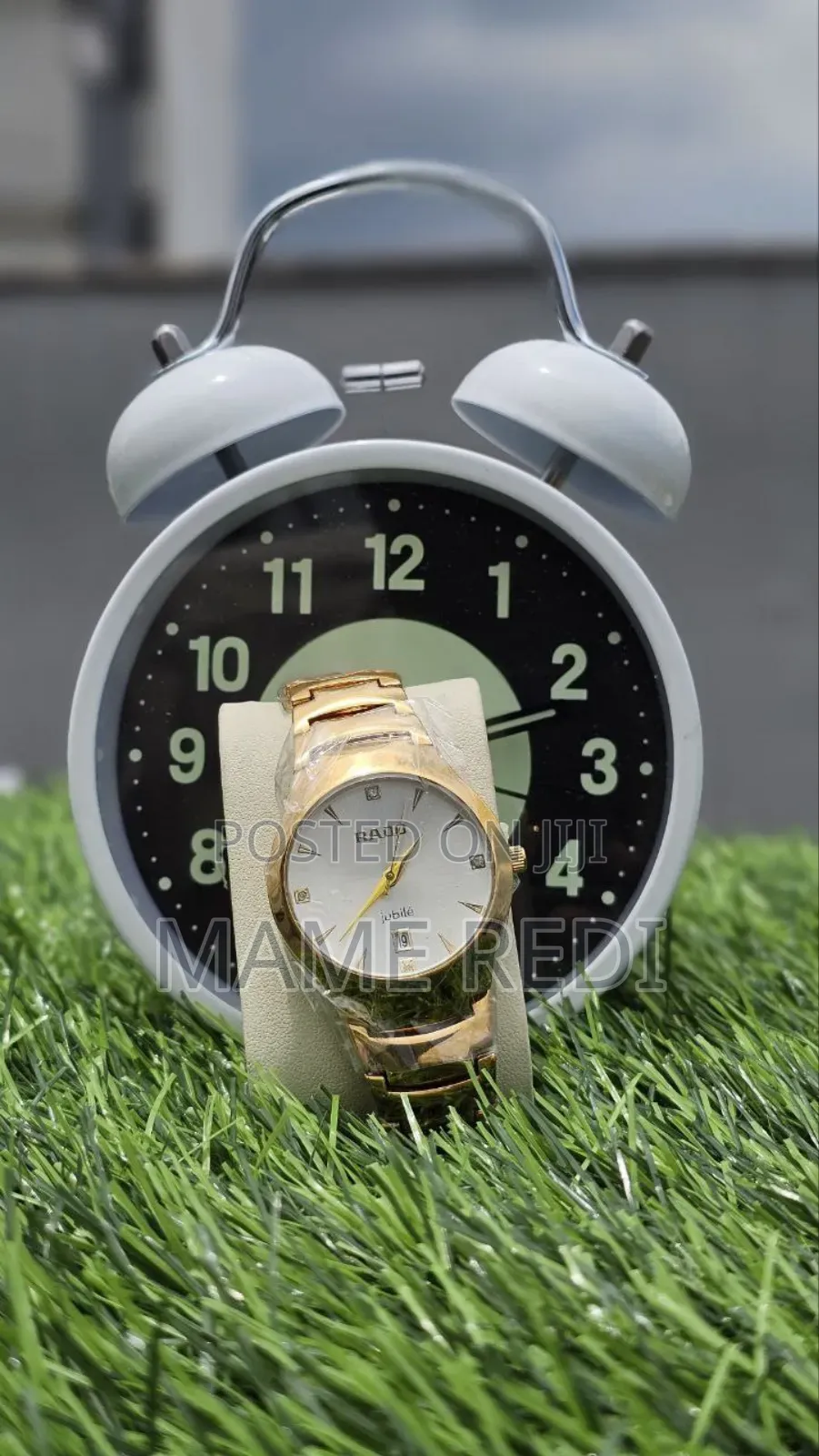 Rado Girls Watch Affordable Luxury at Your Fingertips! 3 Point