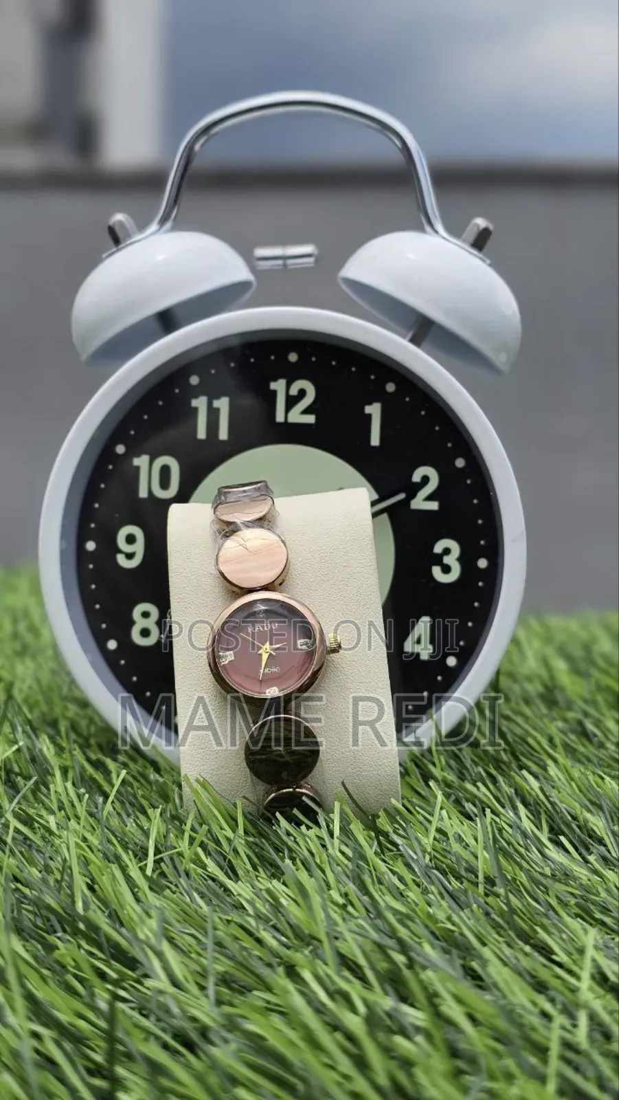 Rado Girls Watch Affordable Luxury at Your Fingertips! 3 Point