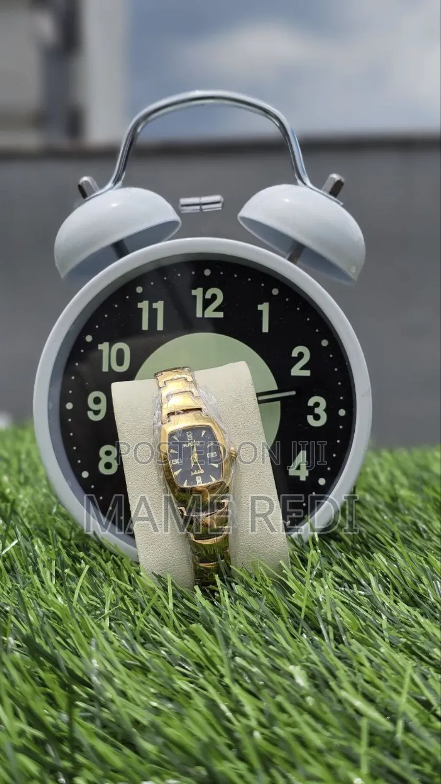 Rado Girls Watch Affordable Luxury at Your Fingertips! 3 Point