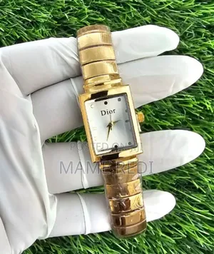 Dior Ladies Watch the Perfect Gift Is Here