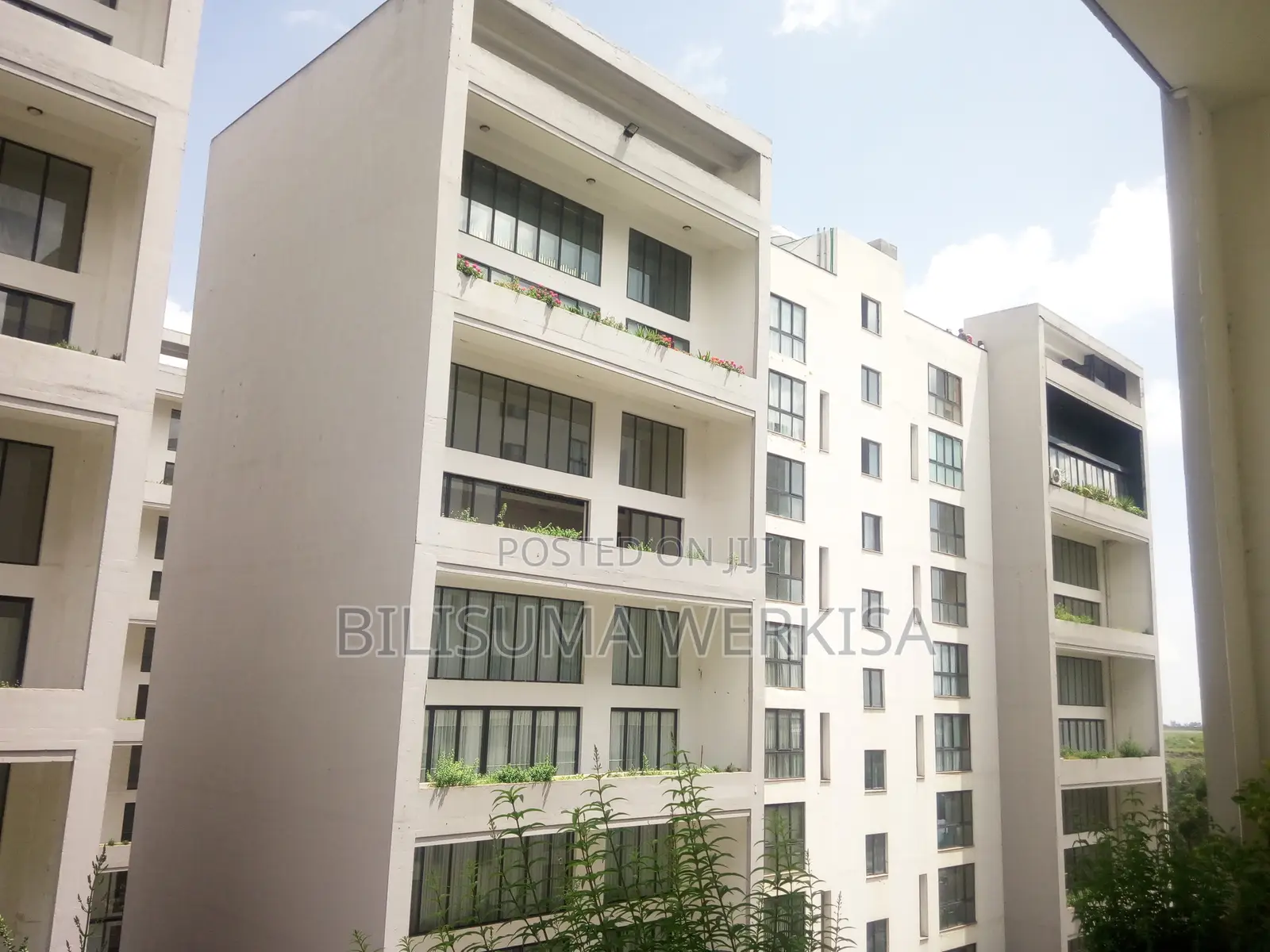 3bdrm House in Ovid Real Estate, Bole for sale